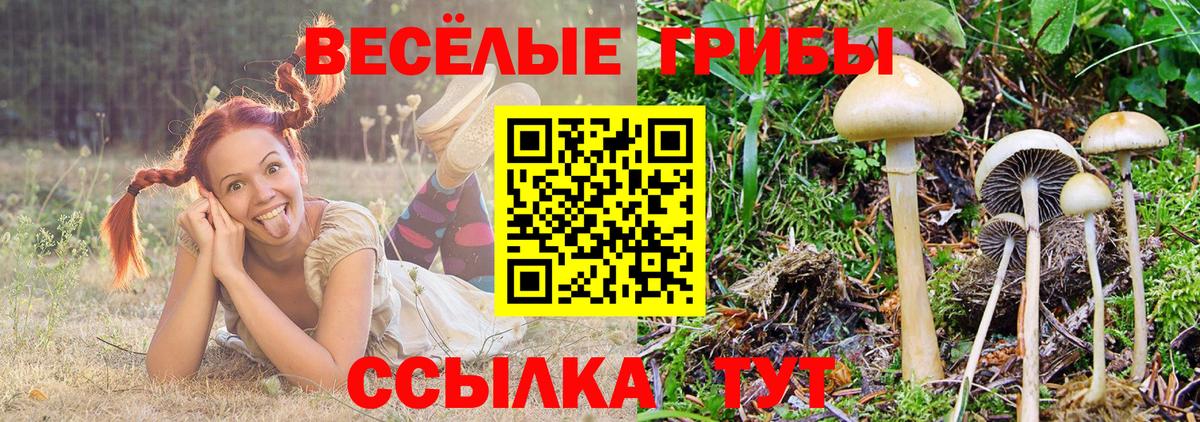 закладки  Псилоцибиновые грибы Magic Shrooms  Вход с VPN  Усть-Лабинск 